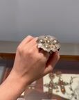 Organic silvery  ring with spheres — vidéo