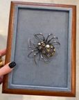 Broche araignée Bruno Da Rocha, argent et citrines, années 1980 — vidéo